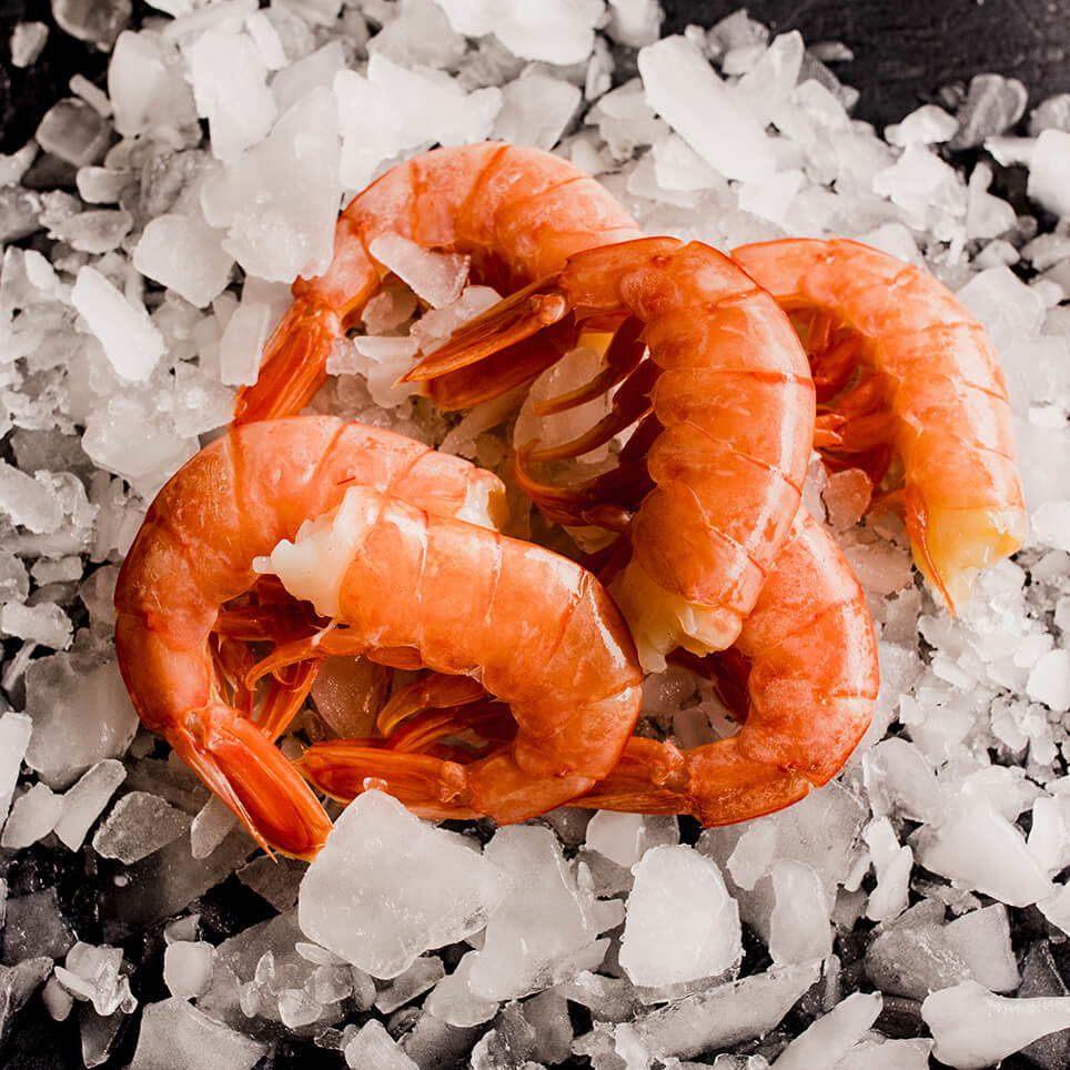 Colas de Langostino – Grupo Conarpesa Continental Armadores de Pesca S.A.