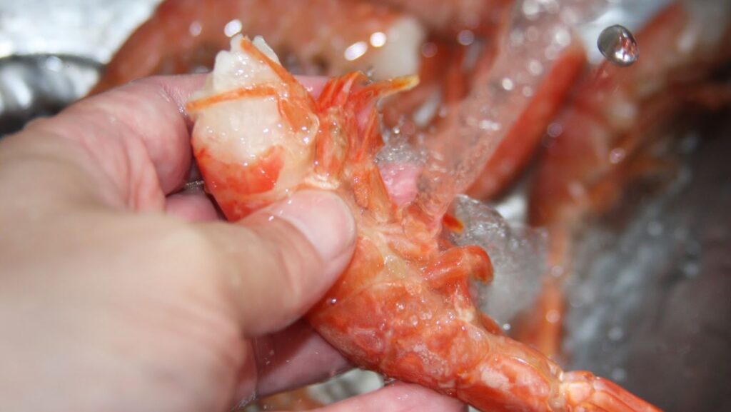 Conarpesa ratificó que incrementar la producción de colas de langostinos a bordo no atenta contra el trabajo en tierra ni provocará ningún daño ambiental