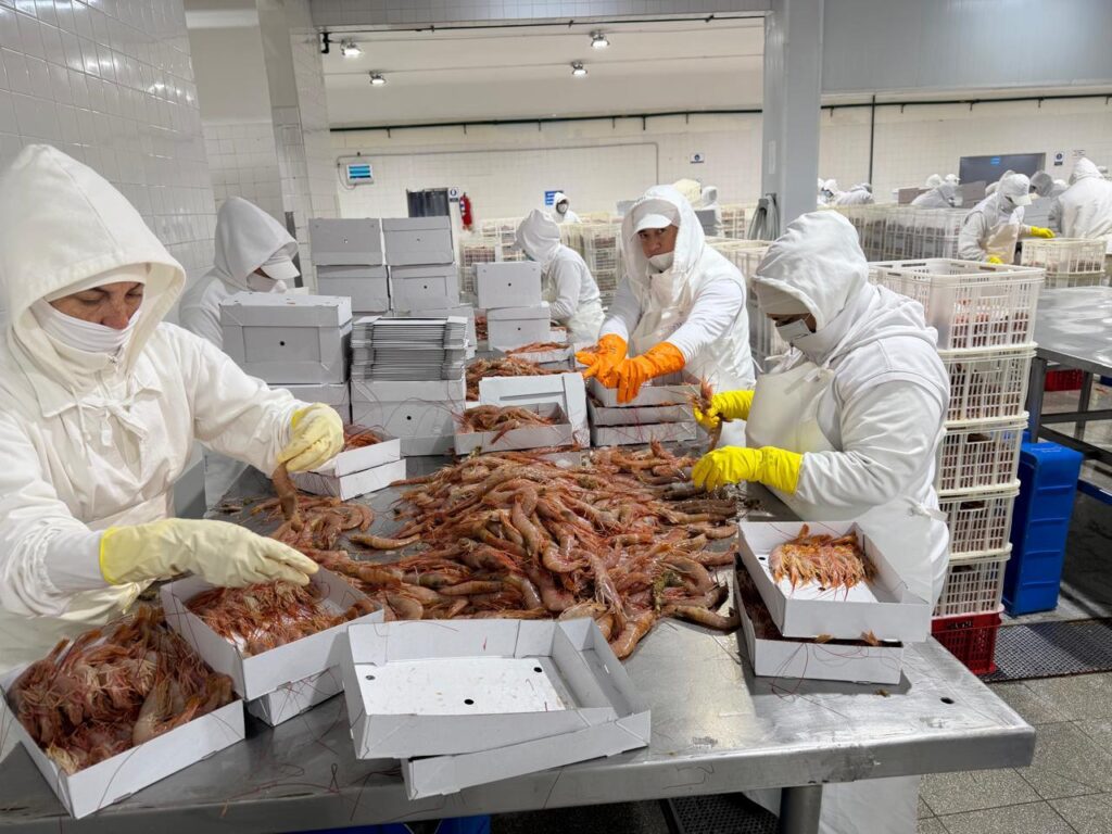 CONARPESA apuesta al doble turno, incentivos de producción y un objetivo récord de 20.000 cajones diarios